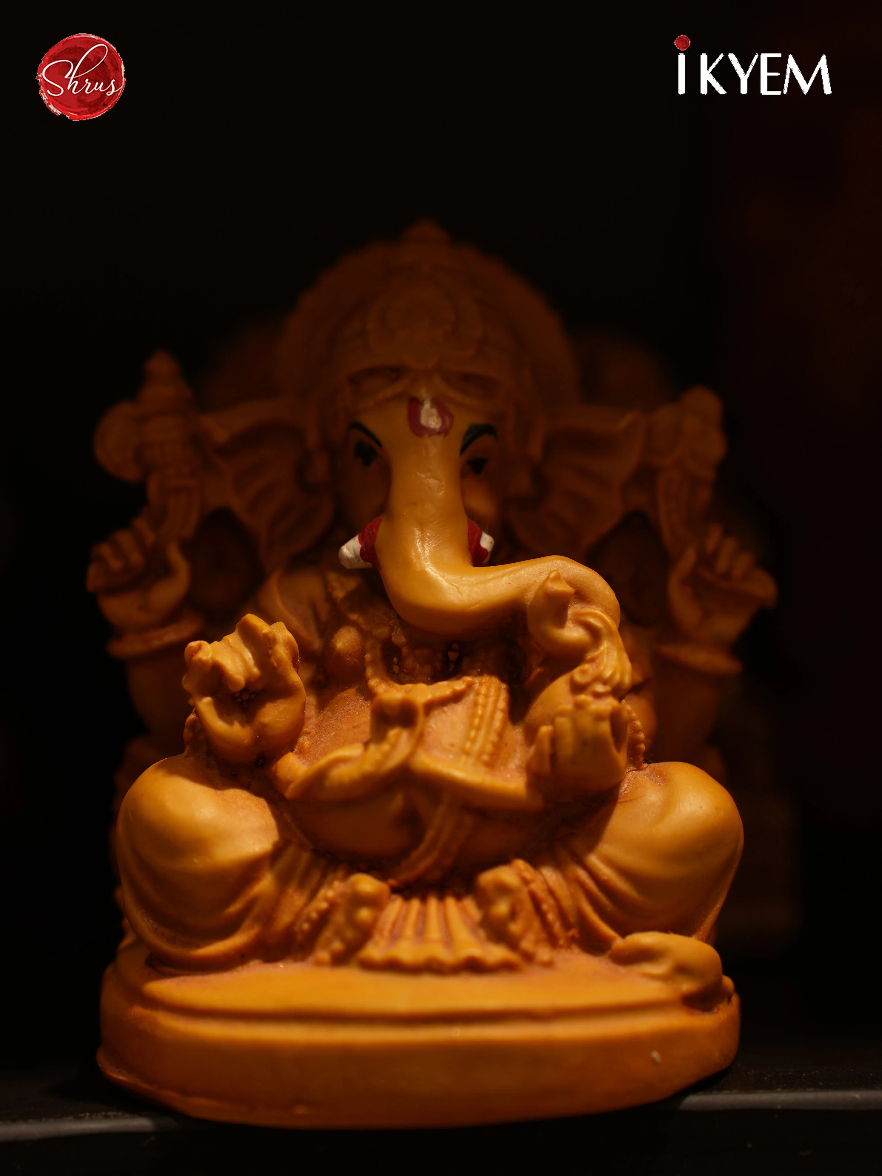 Lord Vinayakar Idol