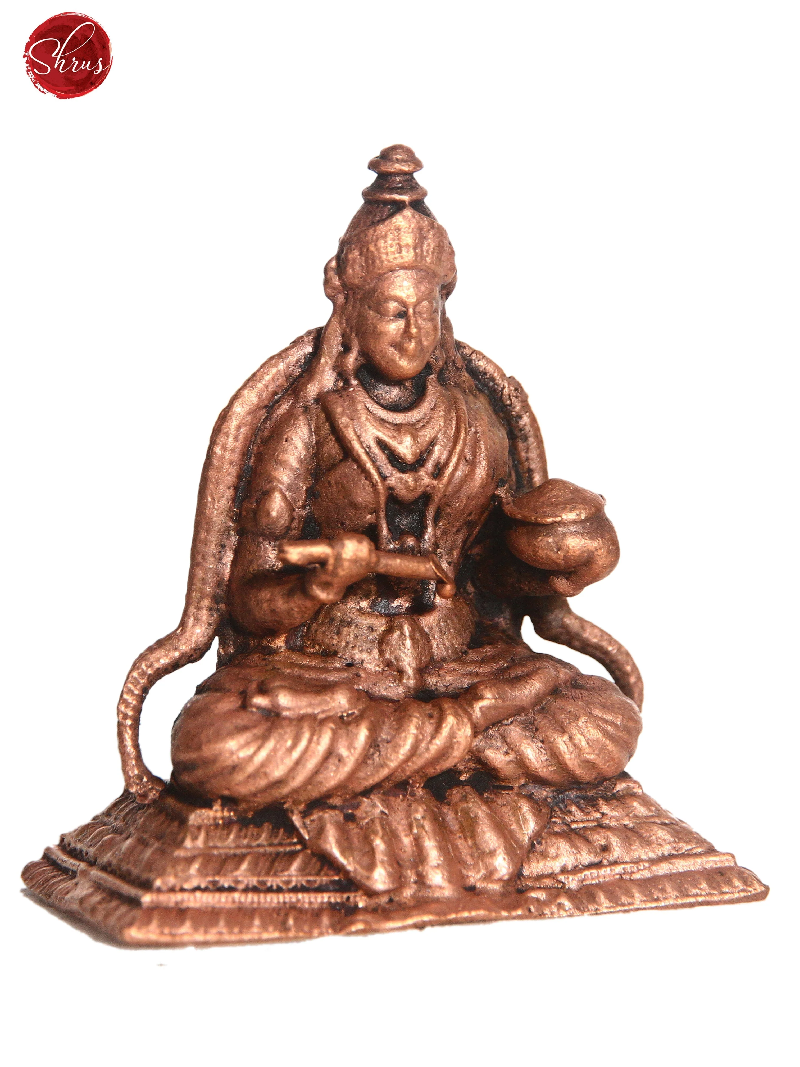 Ancient Antique Finish- Danvantri - Image 3