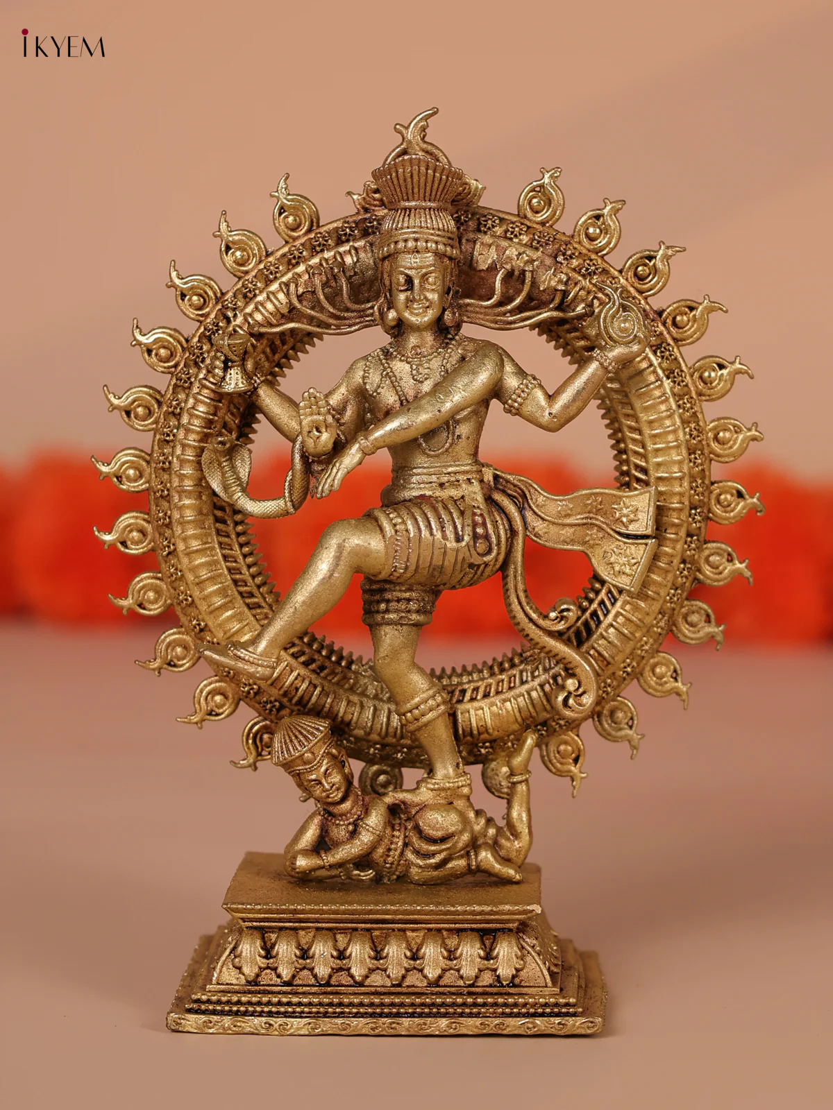 Brass Nataraja Idol - Big