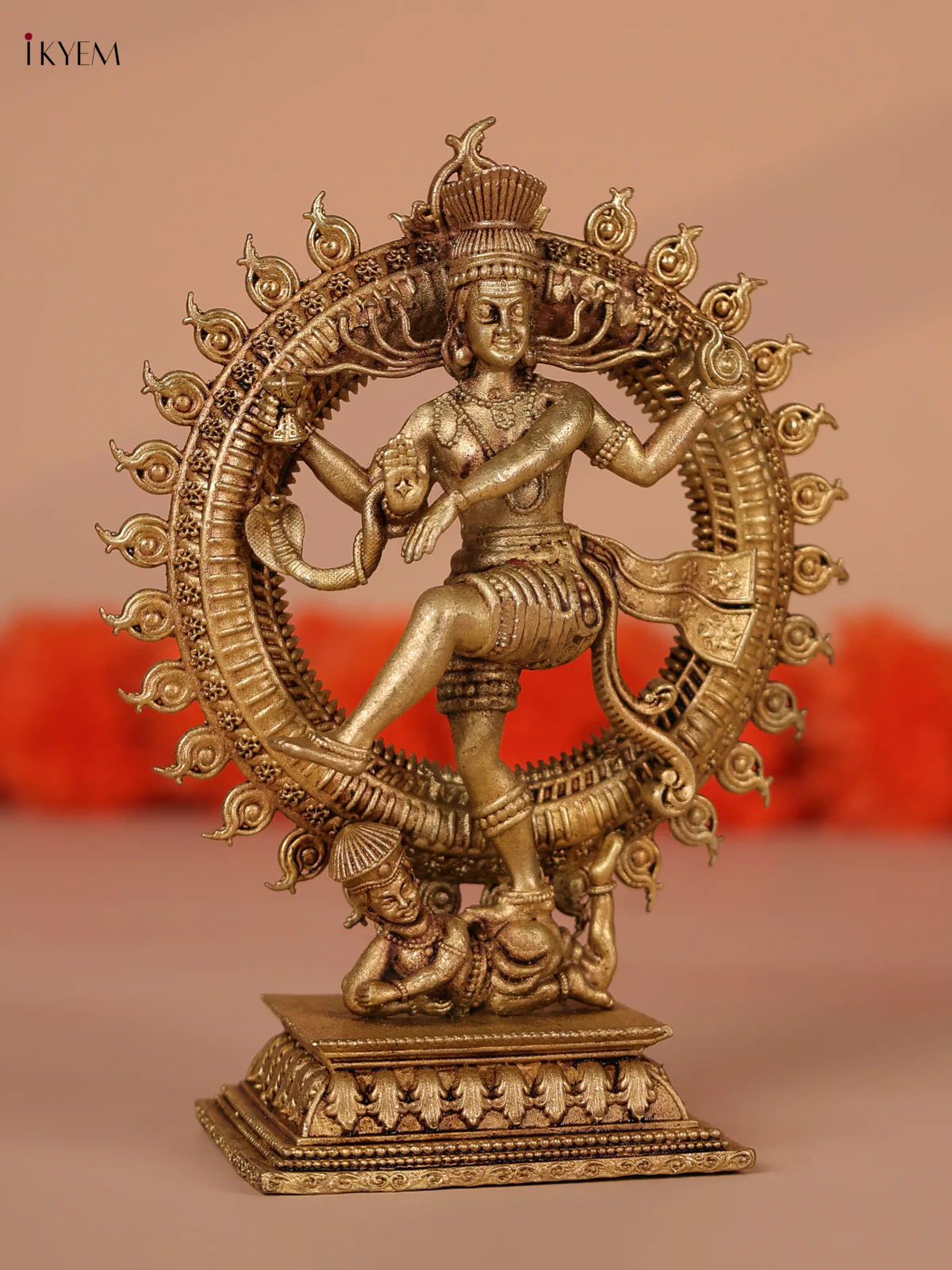 Brass Nataraja Idol - Big - Image 4
